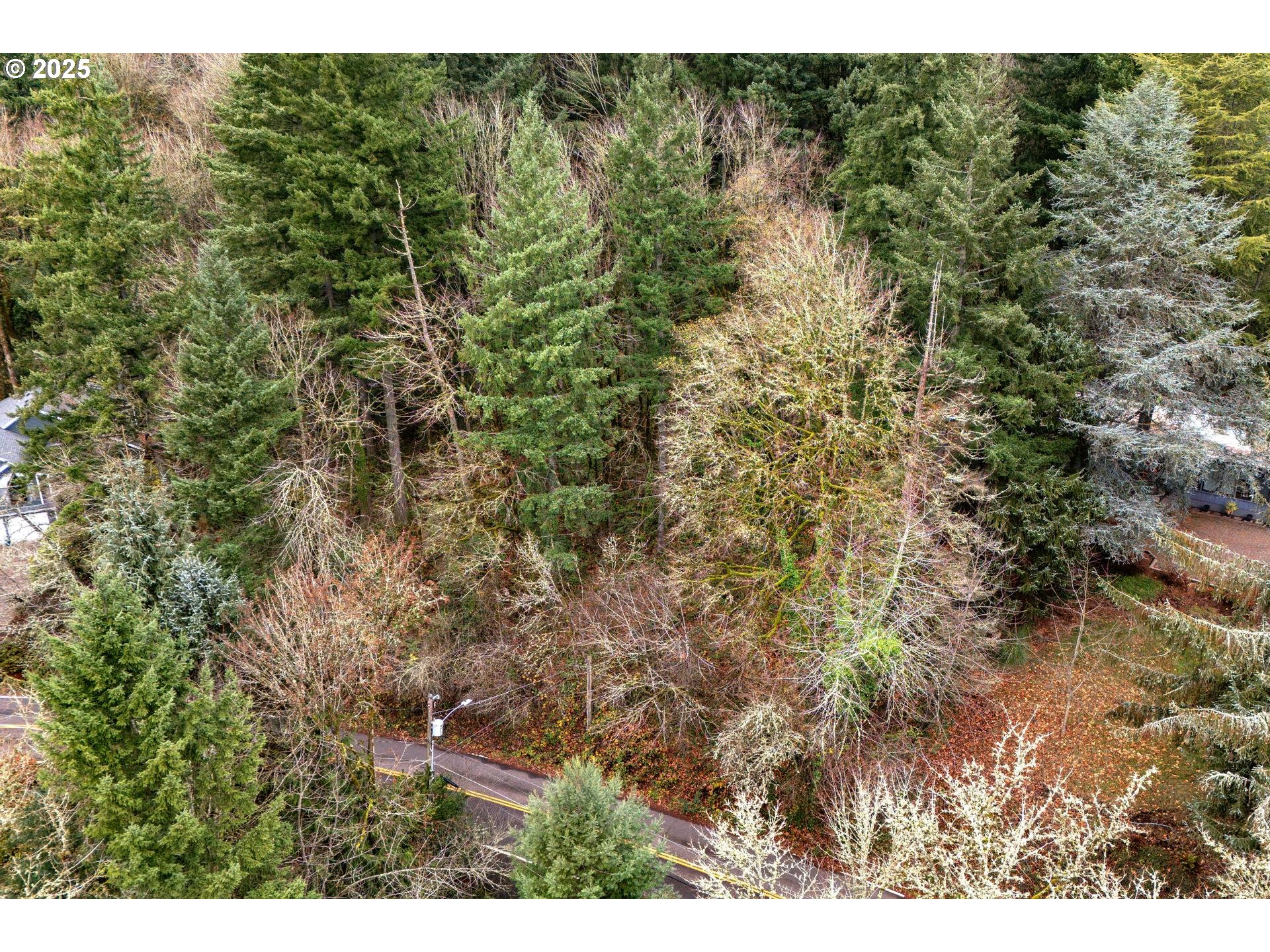 Southwest Lancaster Road Portland, OR 97219 - Photo 21 of 23