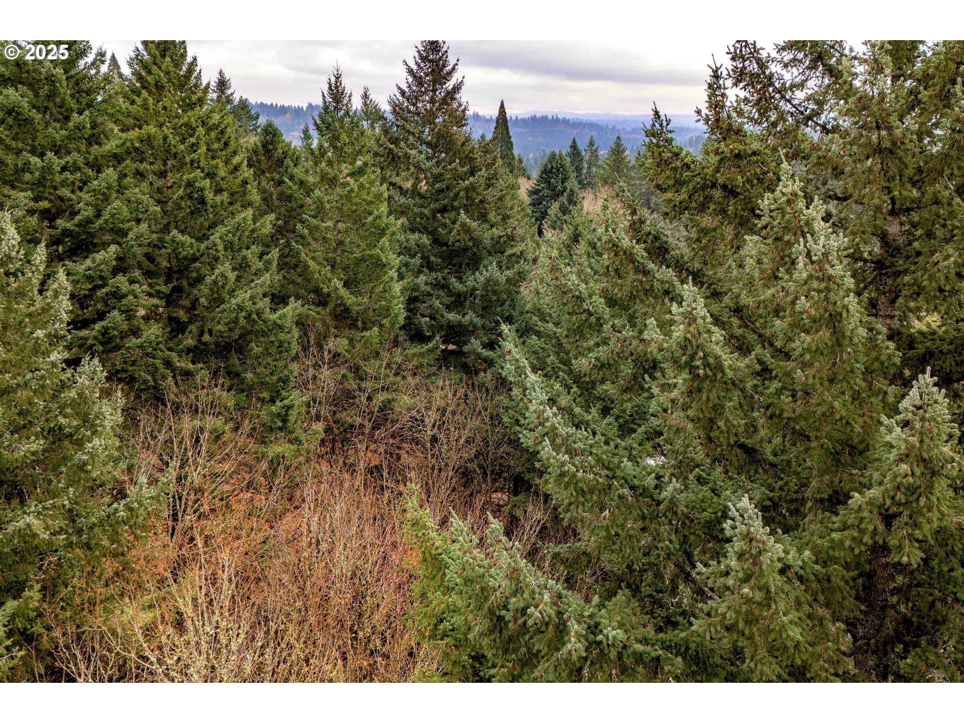 Southwest Lancaster Road Portland, OR 97219 - Photo 22 of 23