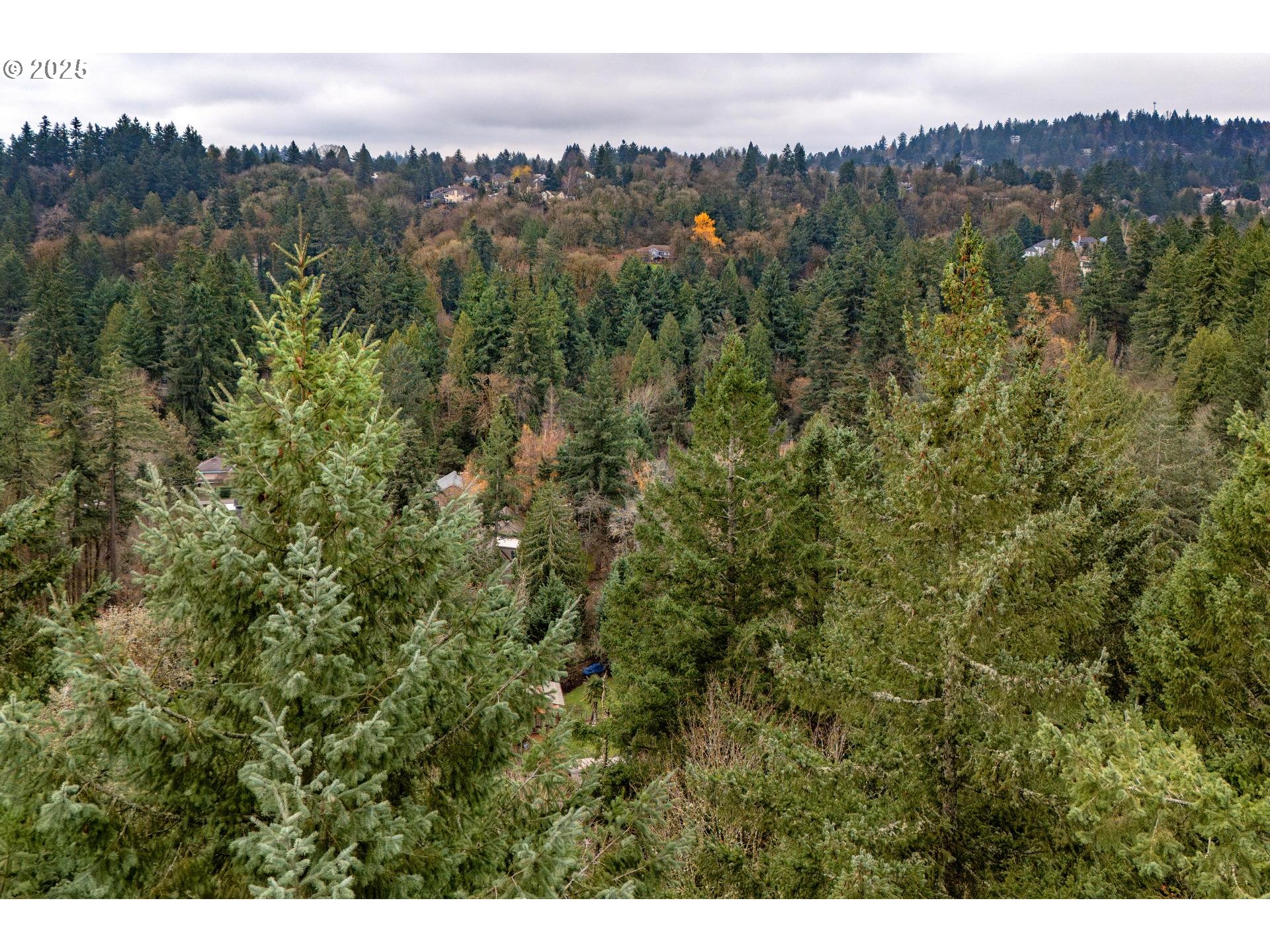 Southwest Lancaster Road Portland, OR 97219 - Photo 23 of 23