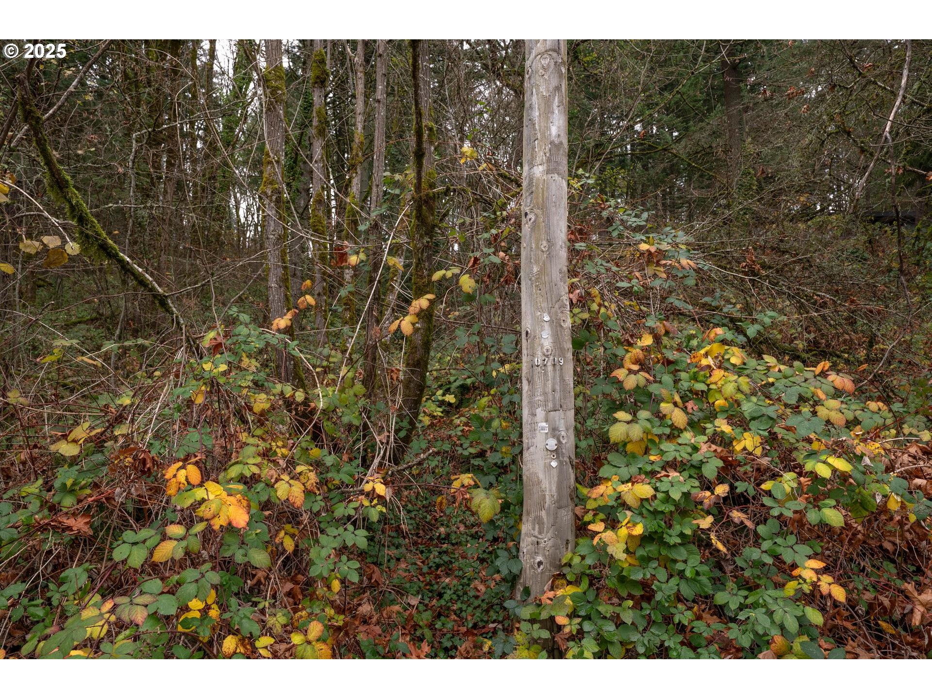 Southwest Lancaster Road Portland, OR 97219 - Photo 5 of 23