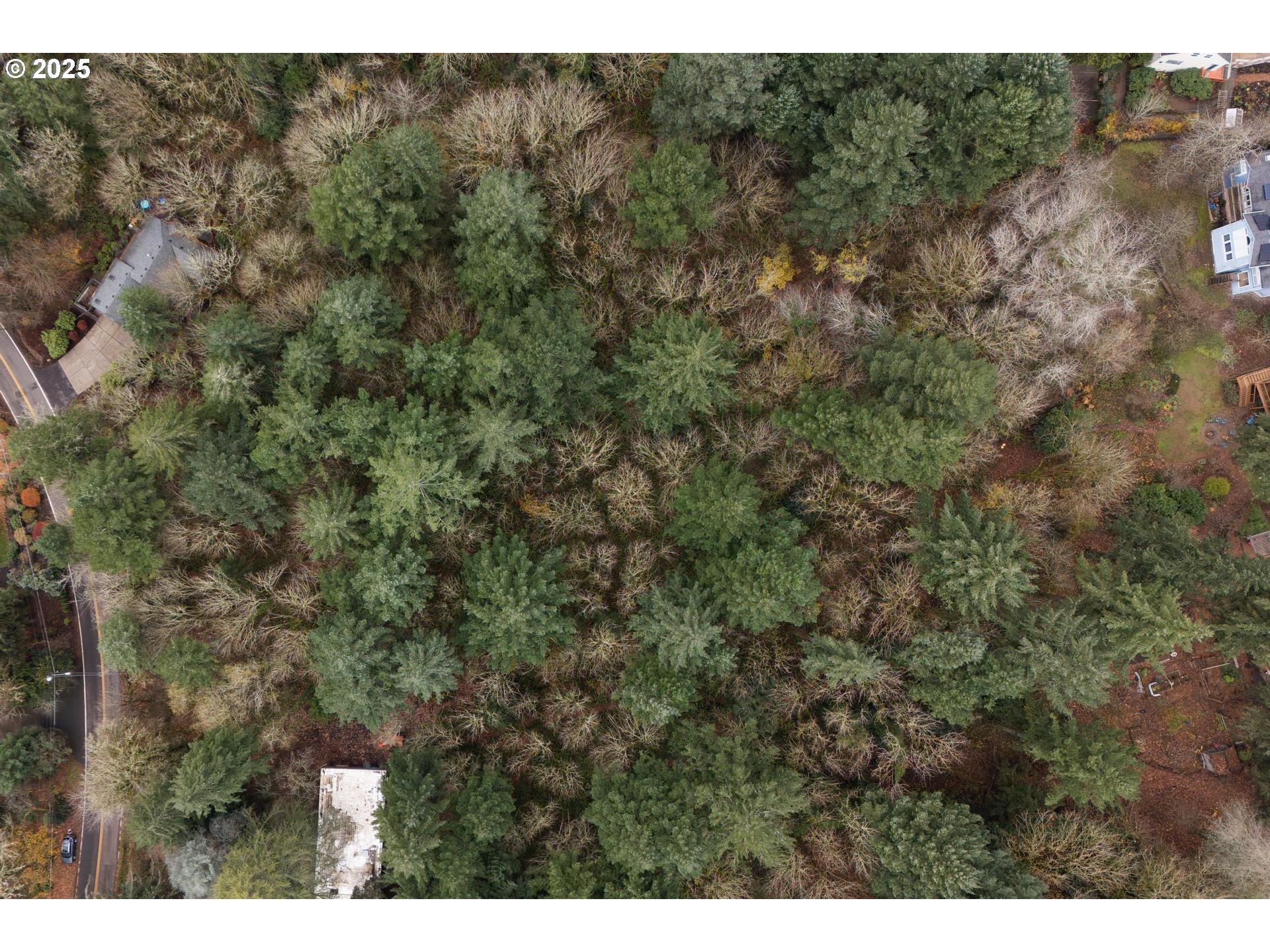 Southwest Lancaster Road Portland, OR 97219 - Photo 6 of 23