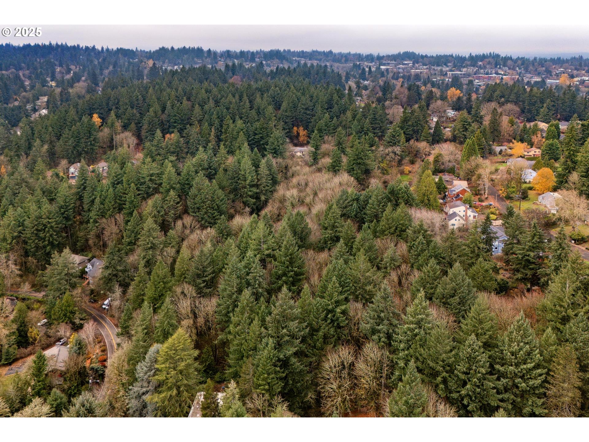 Southwest Lancaster Road Portland, OR 97219 - Photo 8 of 23