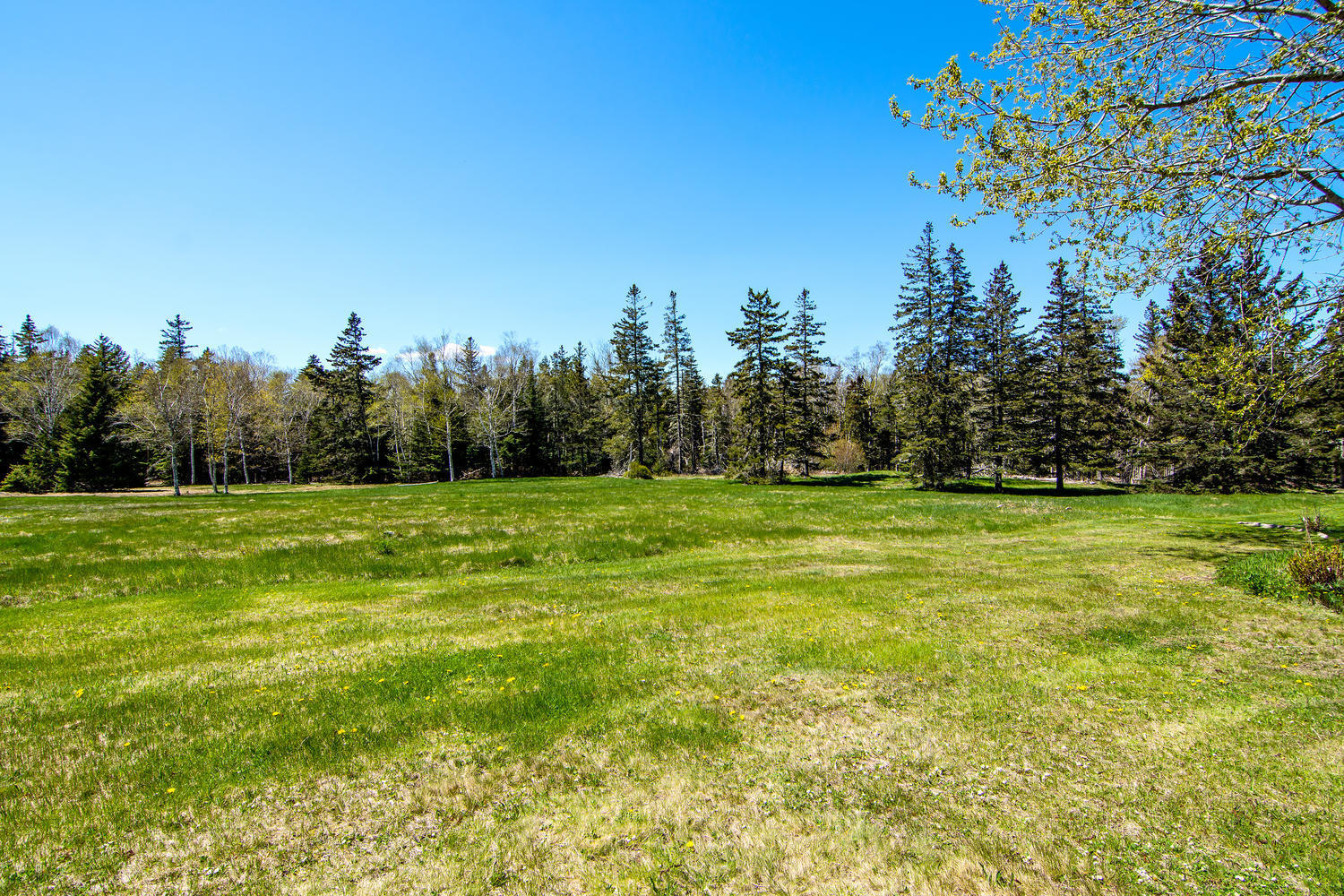 15 Southwest Harbor Road Deer Isle, ME 04627 - Photo 41 of 60 Yard