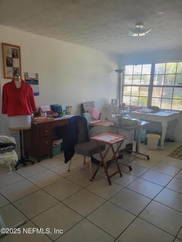 a view of a yard with plants and large trees