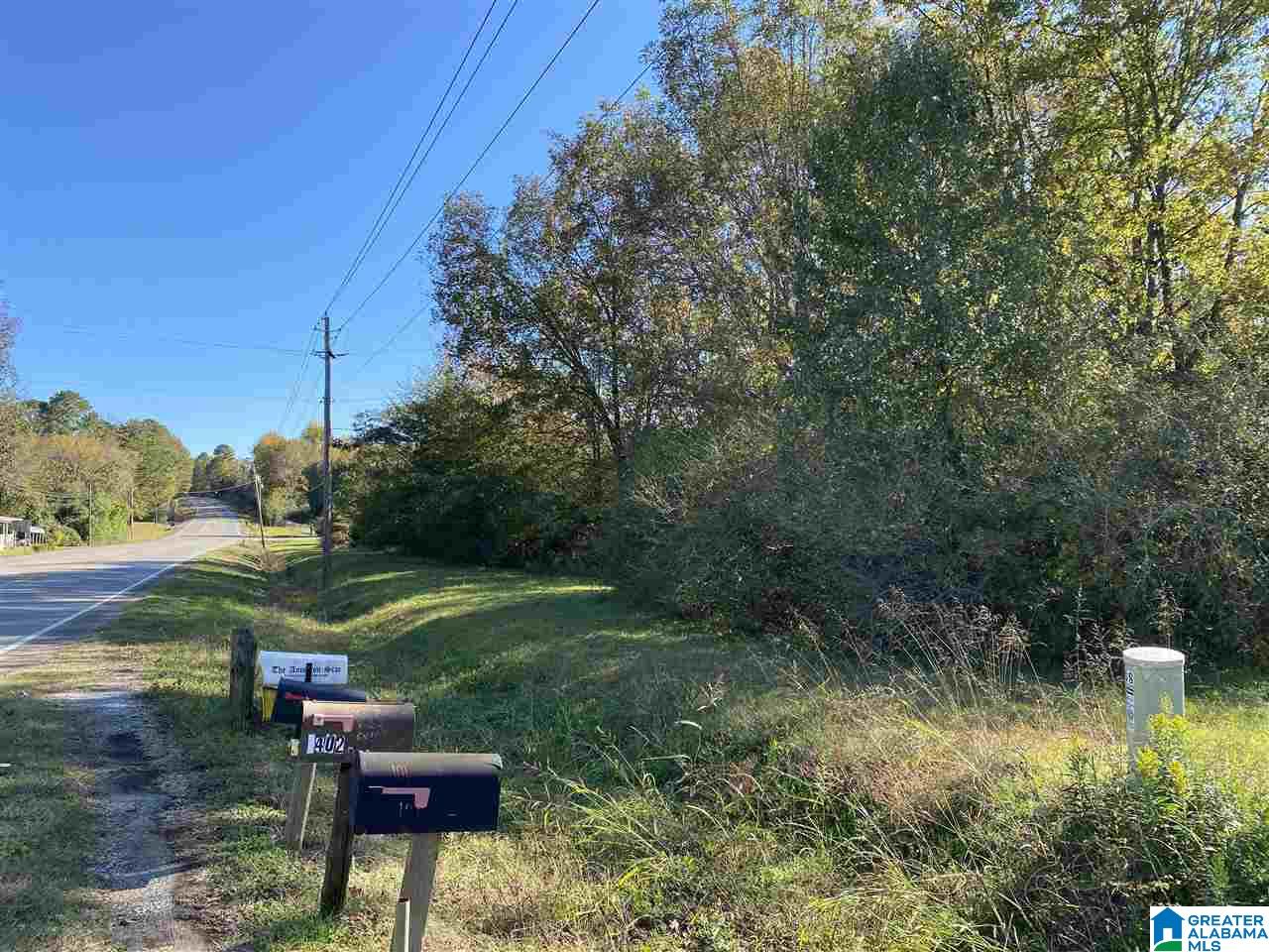 0 Highway 77 Talladega, AL 35160 - Photo 3 of 3