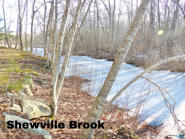 a view of a yard with an outdoor space