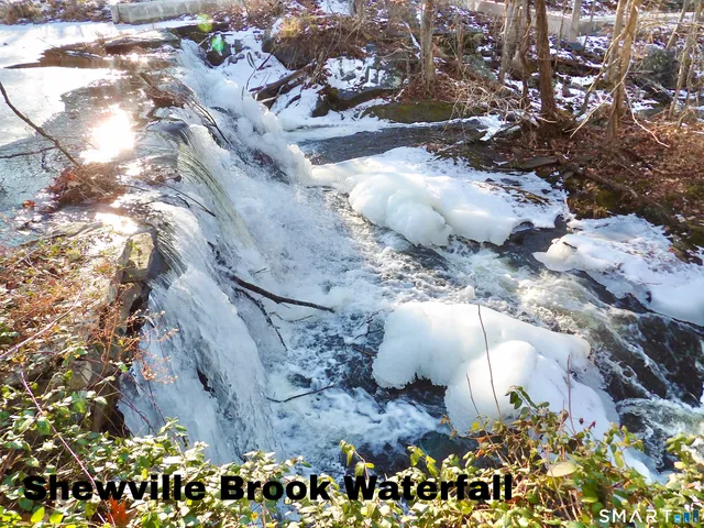 a front view of a house with a large tree