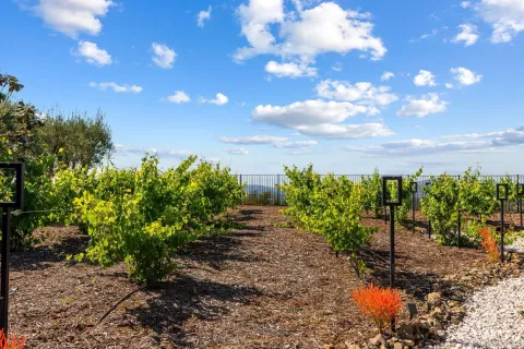 $3,985,000 | 18264 Avenida Manantial, Rancho Santa Fe, CA 92067