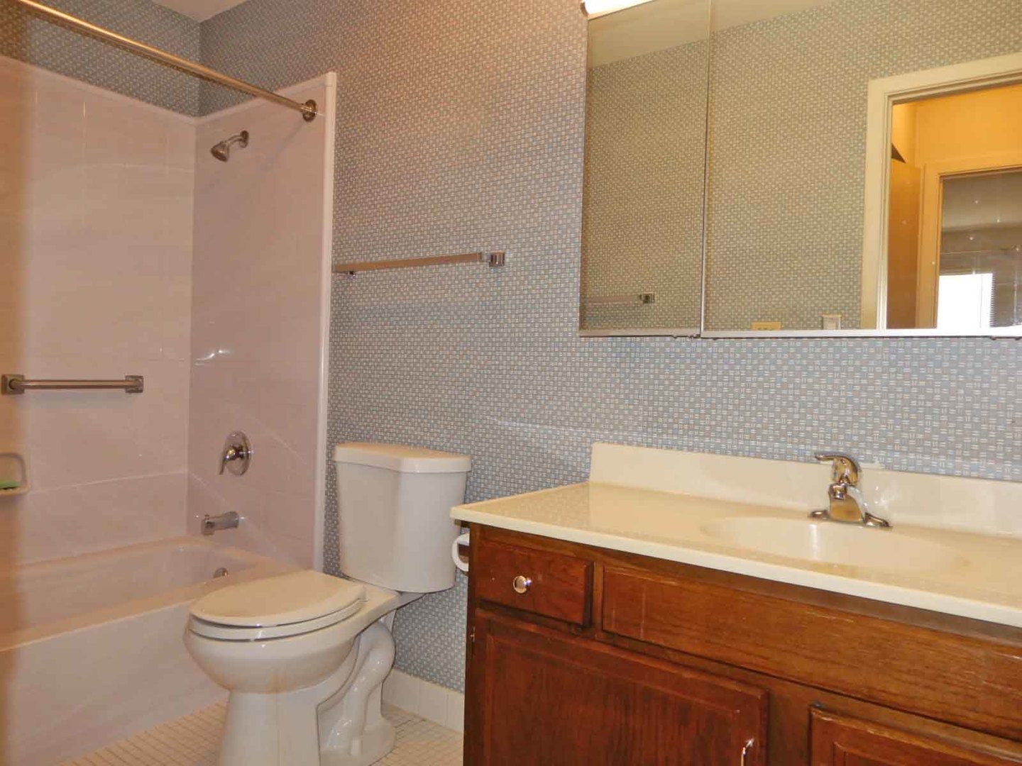 705 West Central Road, Unit 2C1 Mount Prospect, IL 60056 - Photo 5 of 8 a bathroom with a sink a toilet and shower