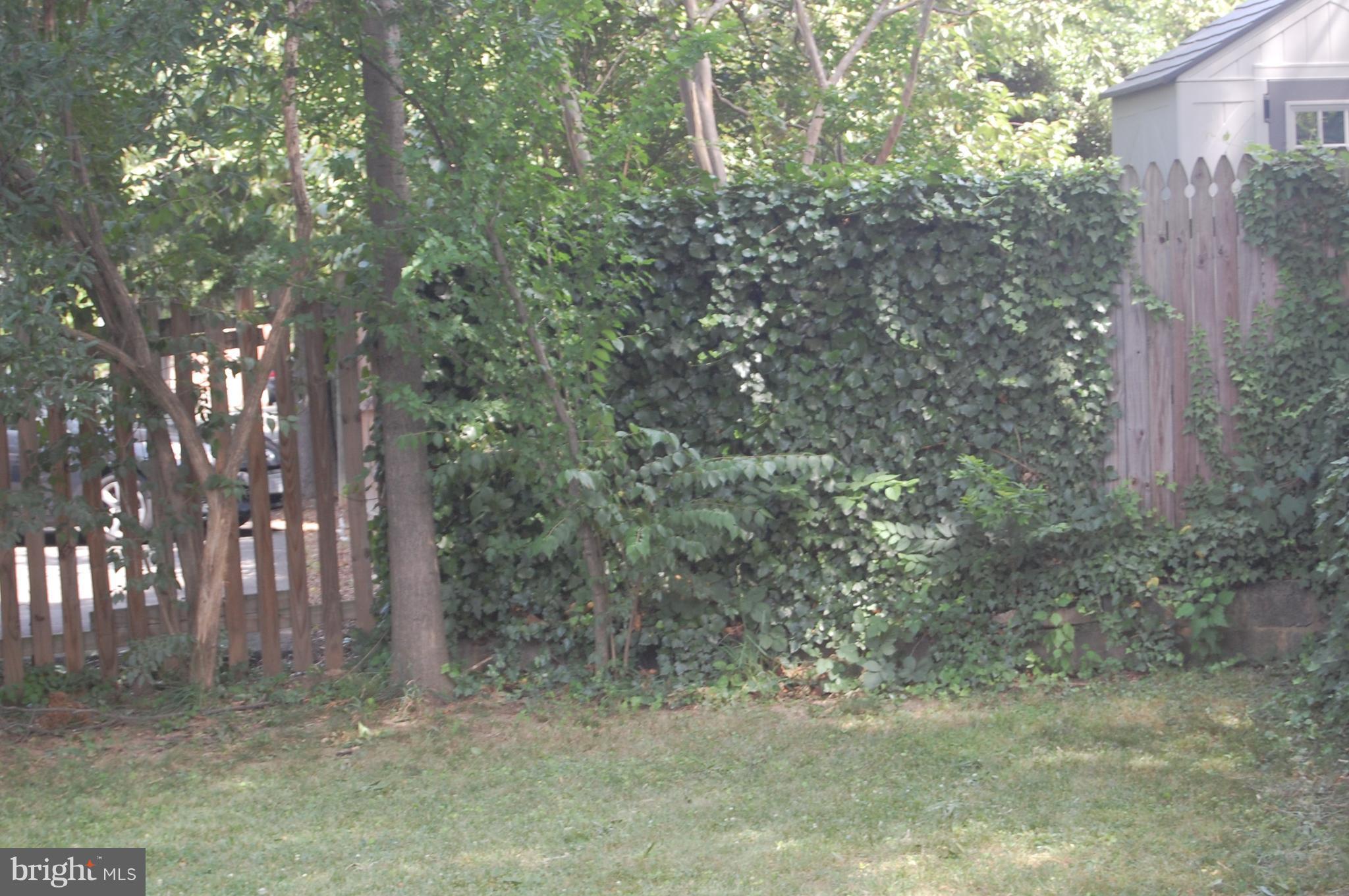 Exterior (Rear)