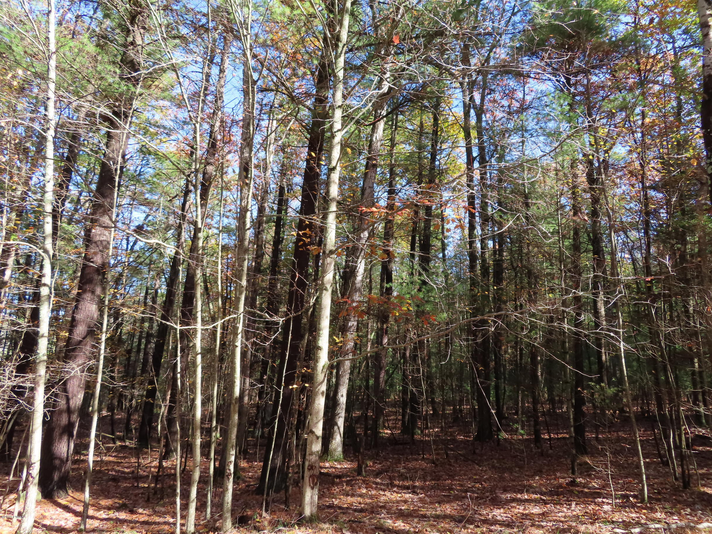 Lot 536 Timber Ridge Drive Hawley, PA 18428 - Photo 9 of 10