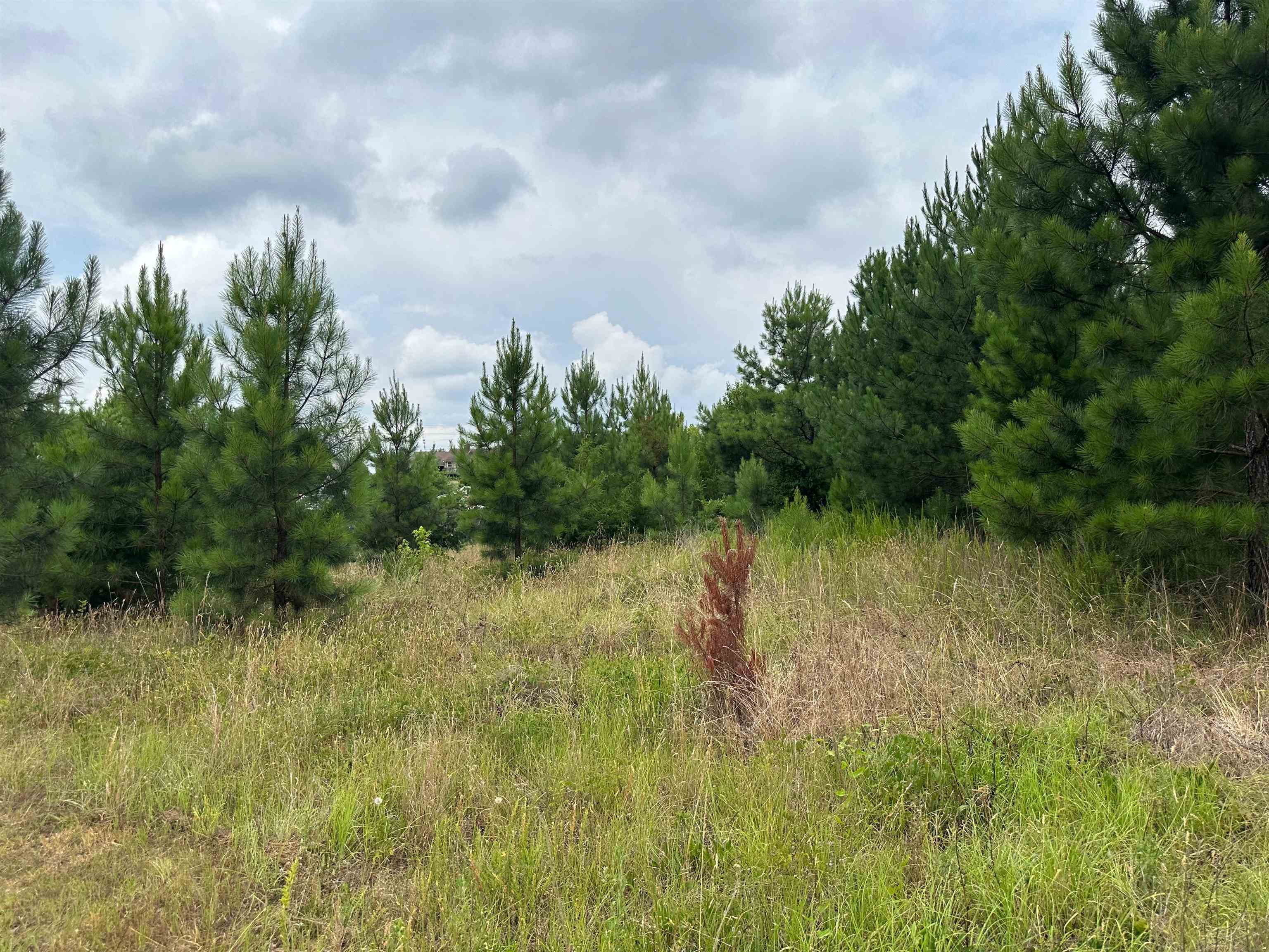 Moore Duncan Highway Moore, SC 29369 - Photo 2 of 3 Near I-26 and Toray plant