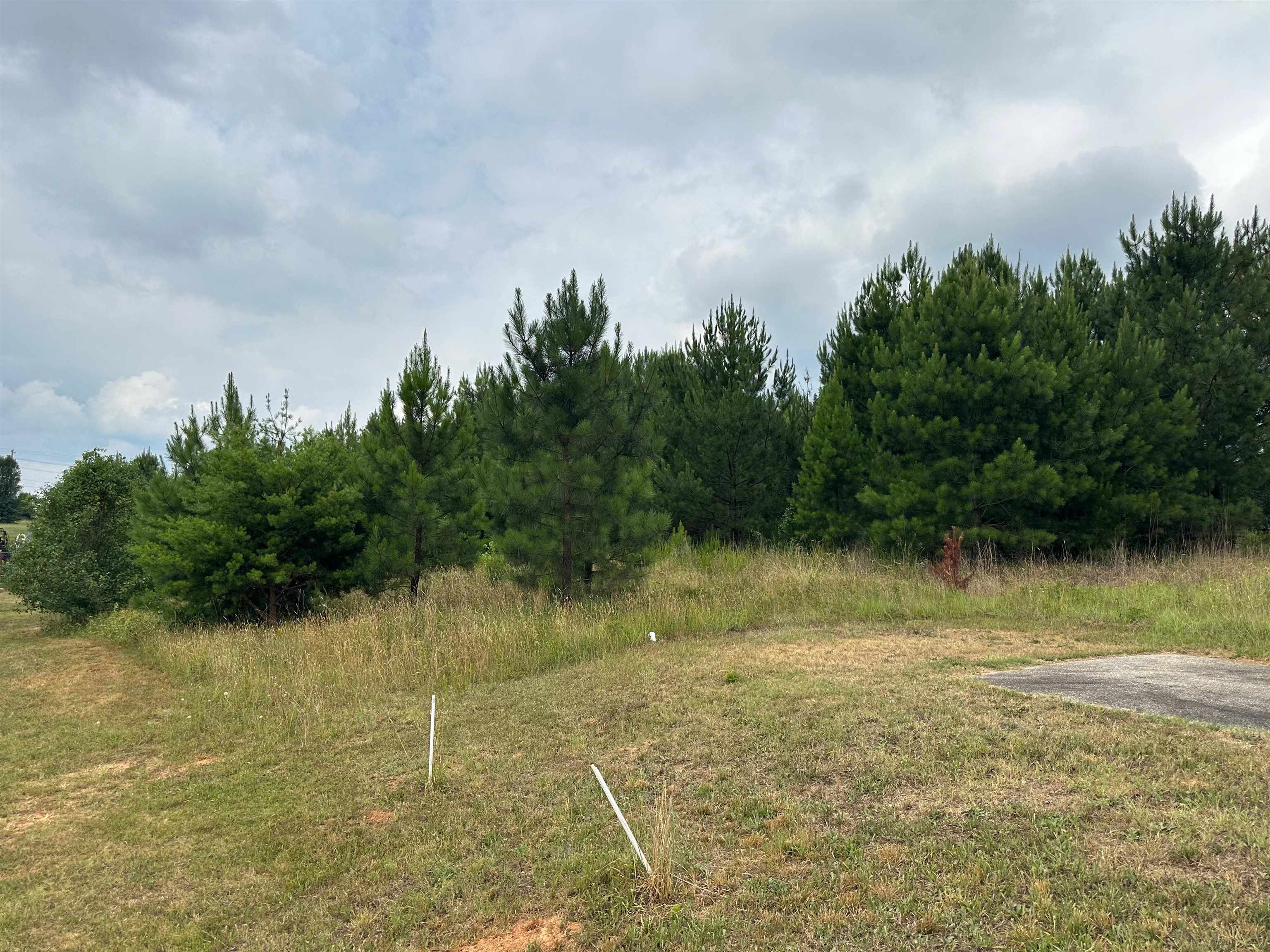 Moore Duncan Highway Moore, SC 29369 - Photo 3 of 3 Mostly Level