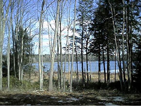 - Cathedral Road Rindge, NH 03461 - Photo 1 of 1