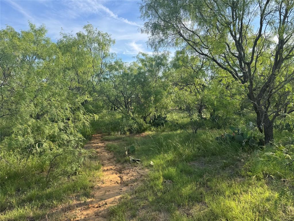 794 West Antelope Road, Unit 1 Windthorst, TX 76389 - Photo 32 of 40