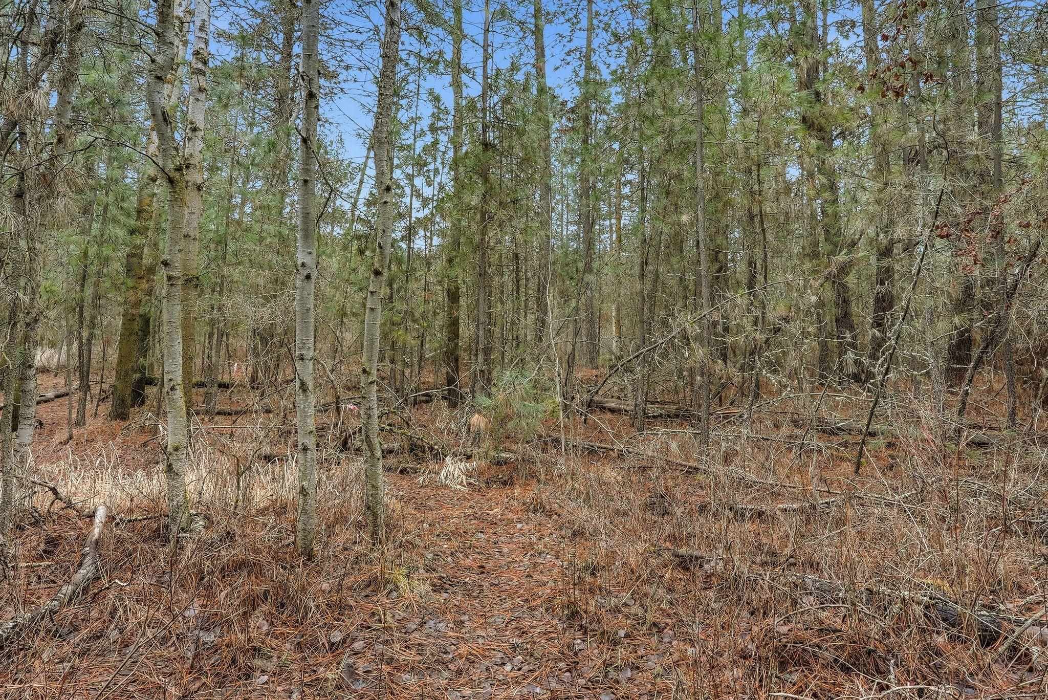 20307 West Sterling Road Cheney, WA 99004 - Photo 12 of 31