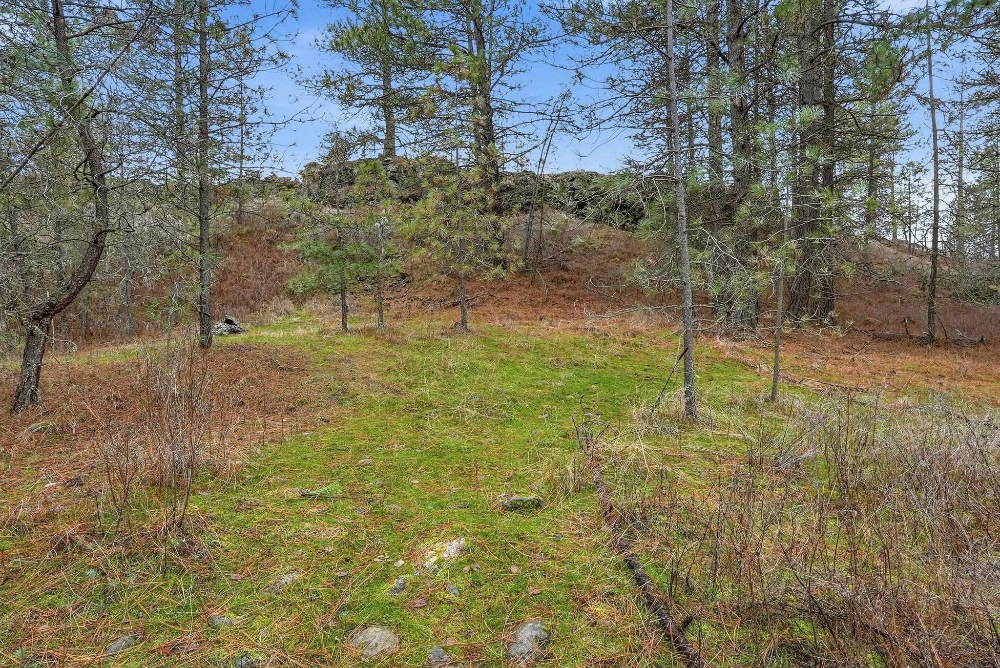 20307 West Sterling Road Cheney, WA 99004 - Photo 13 of 31