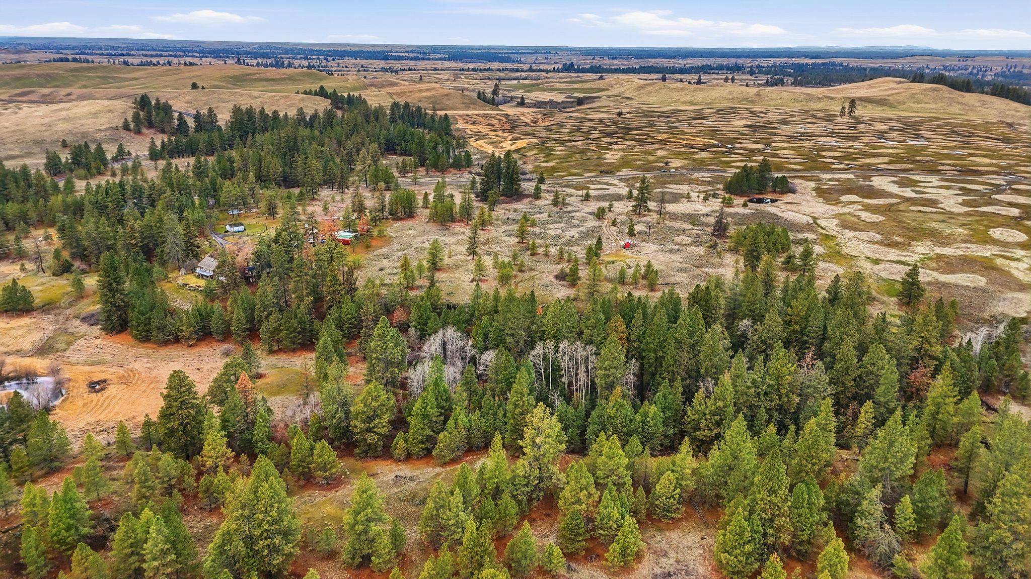 20307 West Sterling Road Cheney, WA 99004 - Photo 17 of 31