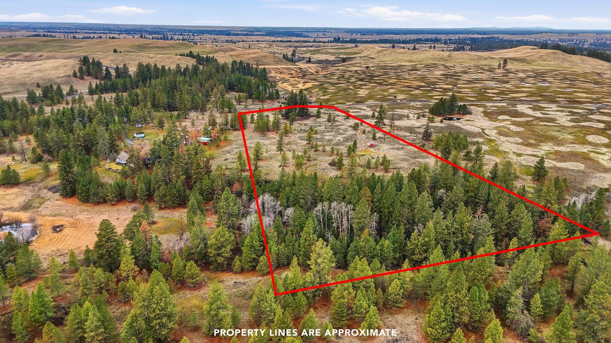 20307 West Sterling Road Cheney, WA 99004 - Photo 18 of 31