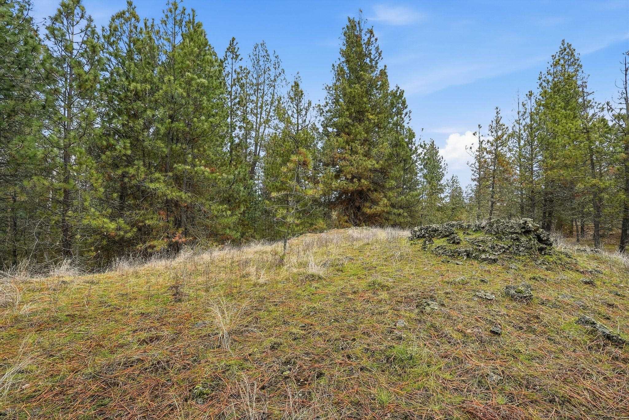 20307 West Sterling Road Cheney, WA 99004 - Photo 26 of 31