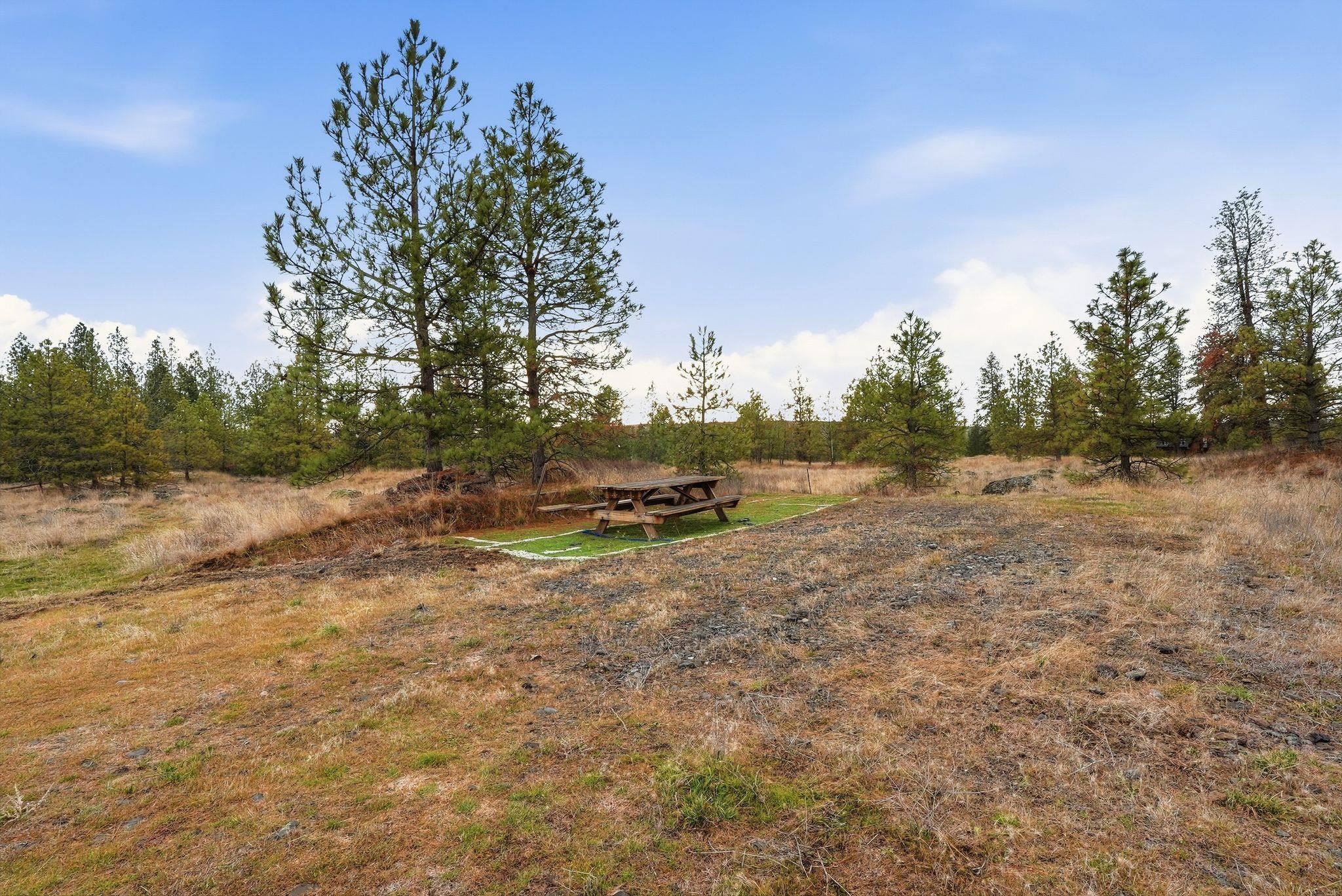 20307 West Sterling Road Cheney, WA 99004 - Photo 9 of 31