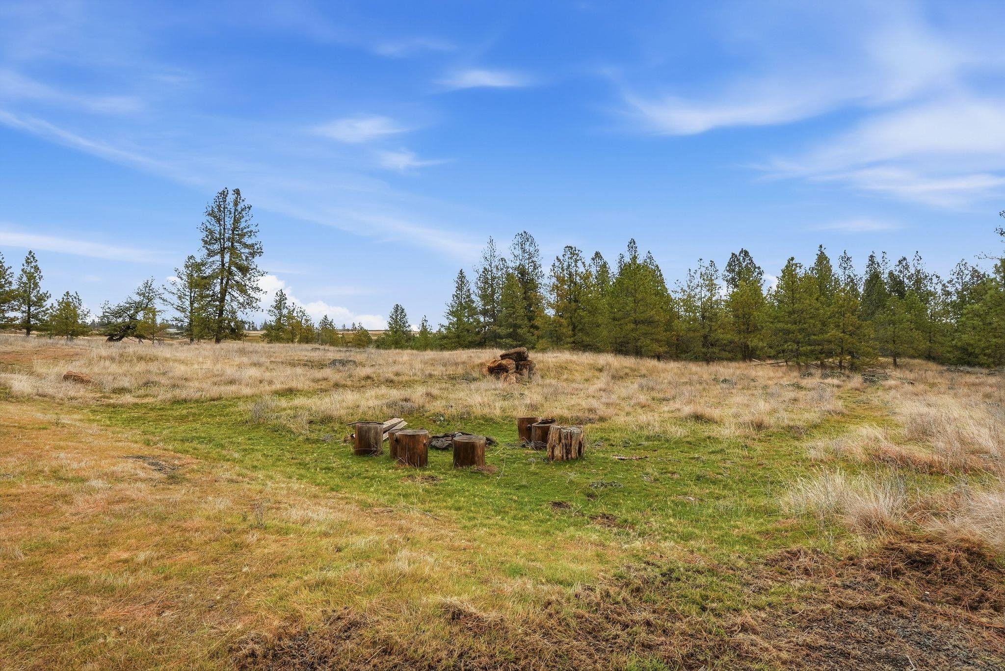 20307 West Sterling Road Cheney, WA 99004 - Photo 10 of 31
