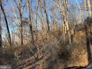 Day Road Darlington, MD 21034 - Photo 1 of 1 View of Wooded Lot