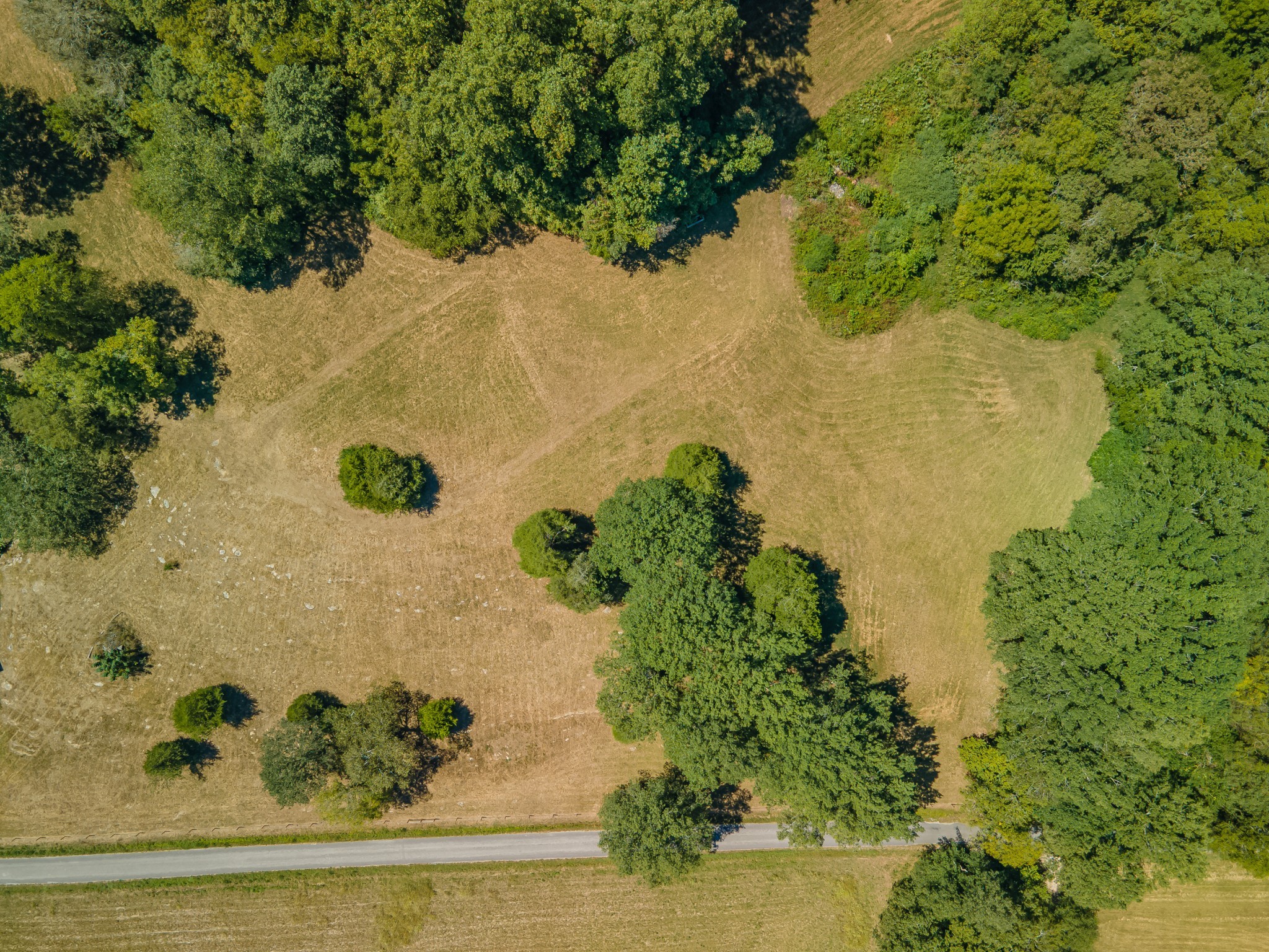 4283 Turkey Creek Road Williamsport, TN 38487 - Photo 15 of 16 a view of a lake with a yard