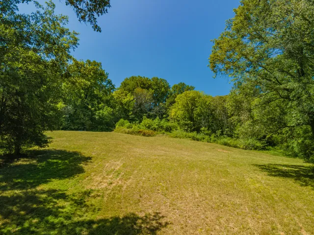 a view of a yard with a house in the background