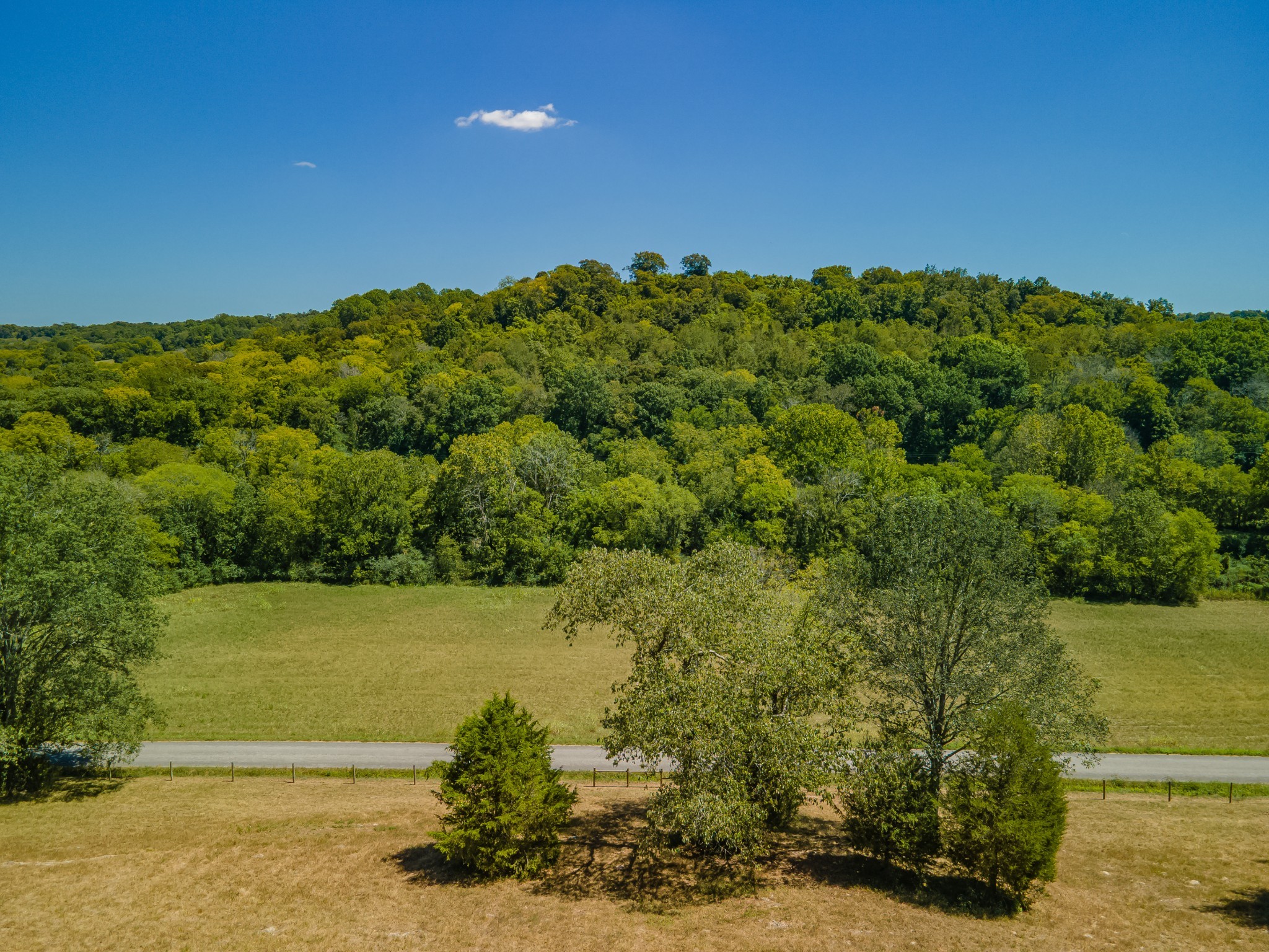 4283 Turkey Creek Road Williamsport, TN 38487 - Photo 7 of 16 a view of lake with green space