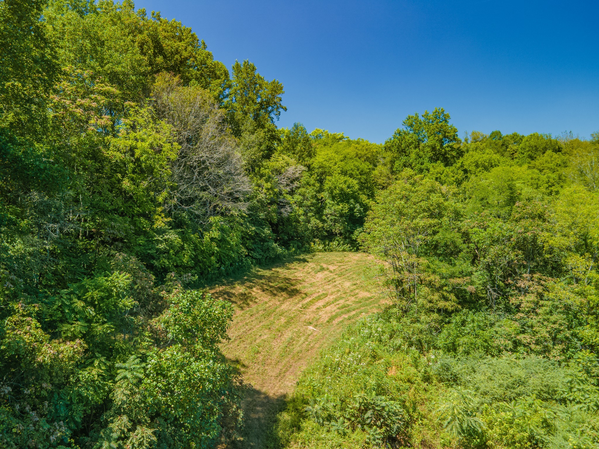 4283 Turkey Creek Road Williamsport, TN 38487 - Photo 8 of 16 a view of a yard