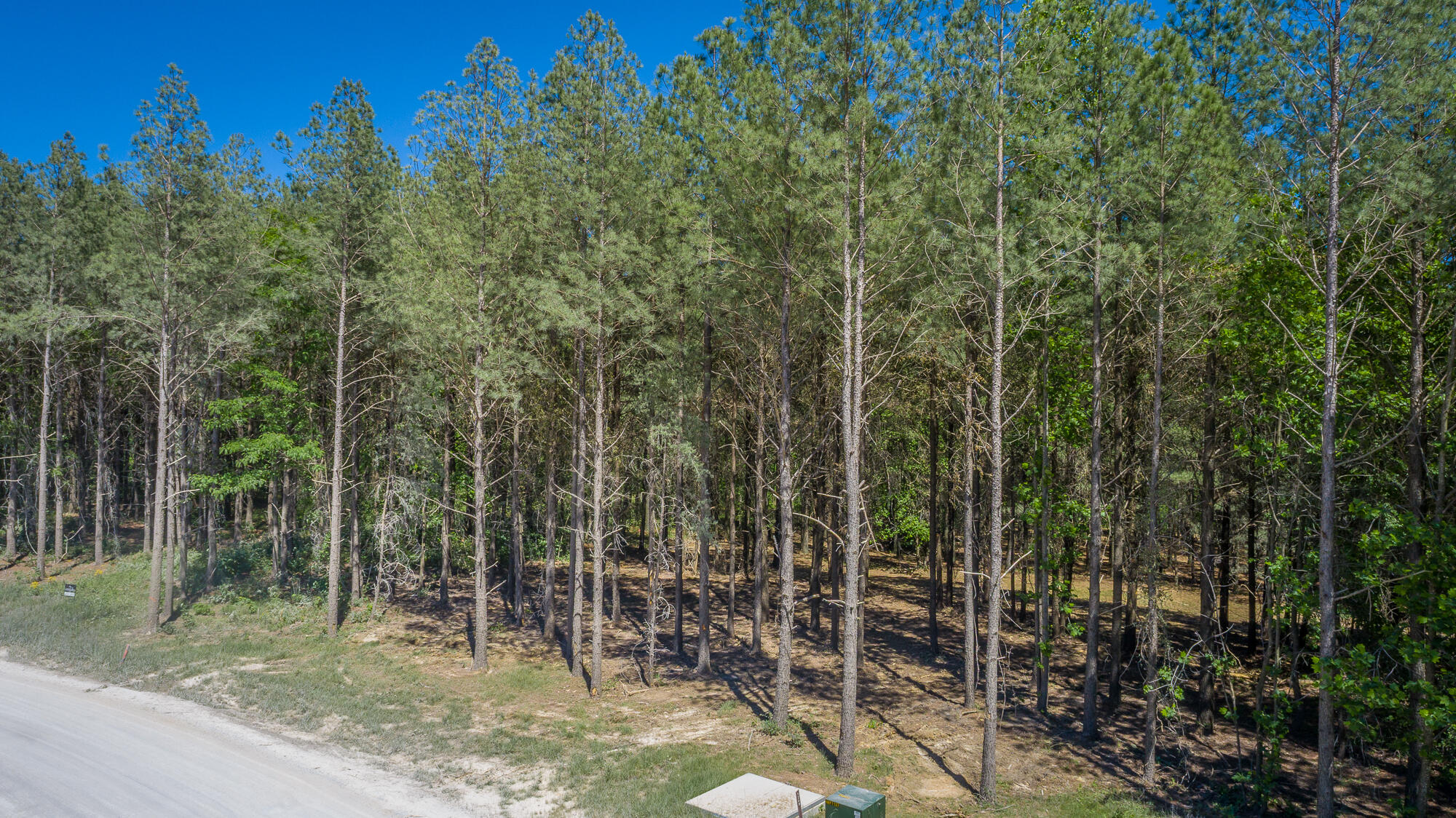 0 Split Rail Way, Unit 1349 Guild, TN 37340 - Photo 33 of 108 0 Split Rail Way - Lot 1349 HD-6