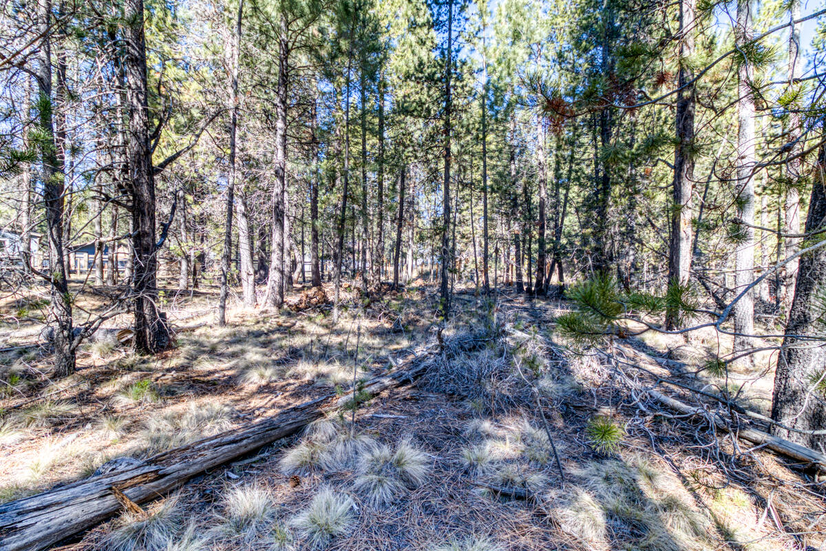 16948 Rosemead Road Bend, OR 97707 - Photo 11 of 33 CREP1339