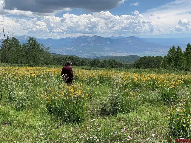 a view of a lake in middle of the forest