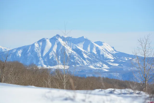 a view of a backyard of a house