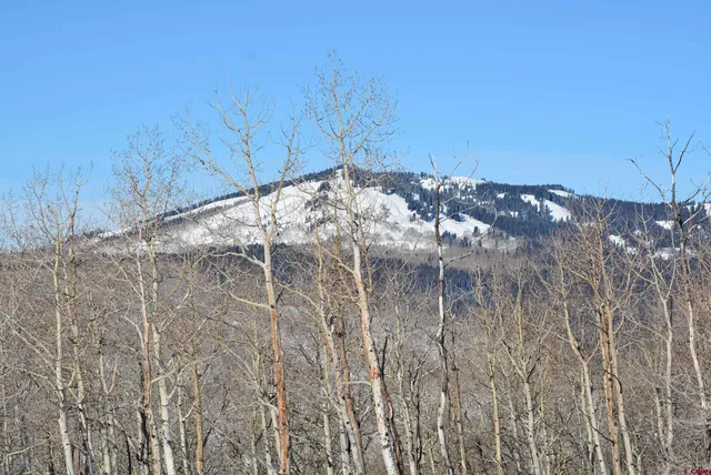 a view of a dry yard with wooden fence