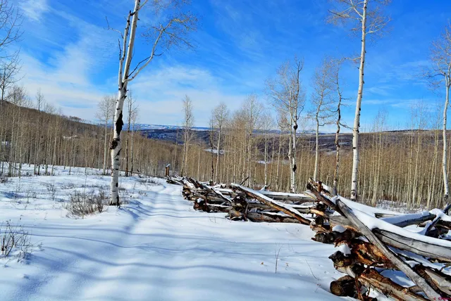 $2,450,000 | 34681 Forest Road 128, Paonia, CO 81428