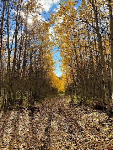 a view of backyard of house
