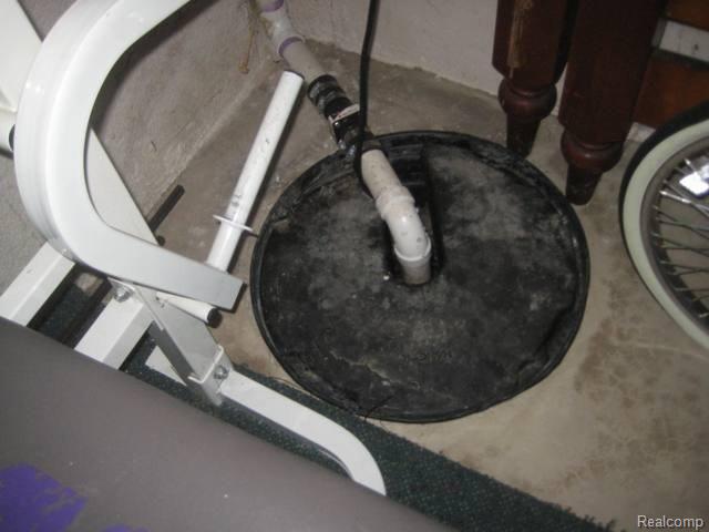 24793 Pheasant Run Road Flat Rock, MI 48134 - Photo 29 of 33 SUMP PUMP.JPG