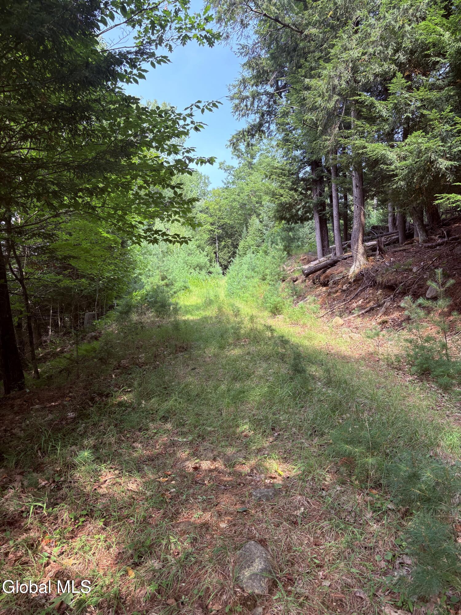 232 Eddy Road Hadley, NY 12835 - Photo 2 of 9 IMG_1492
