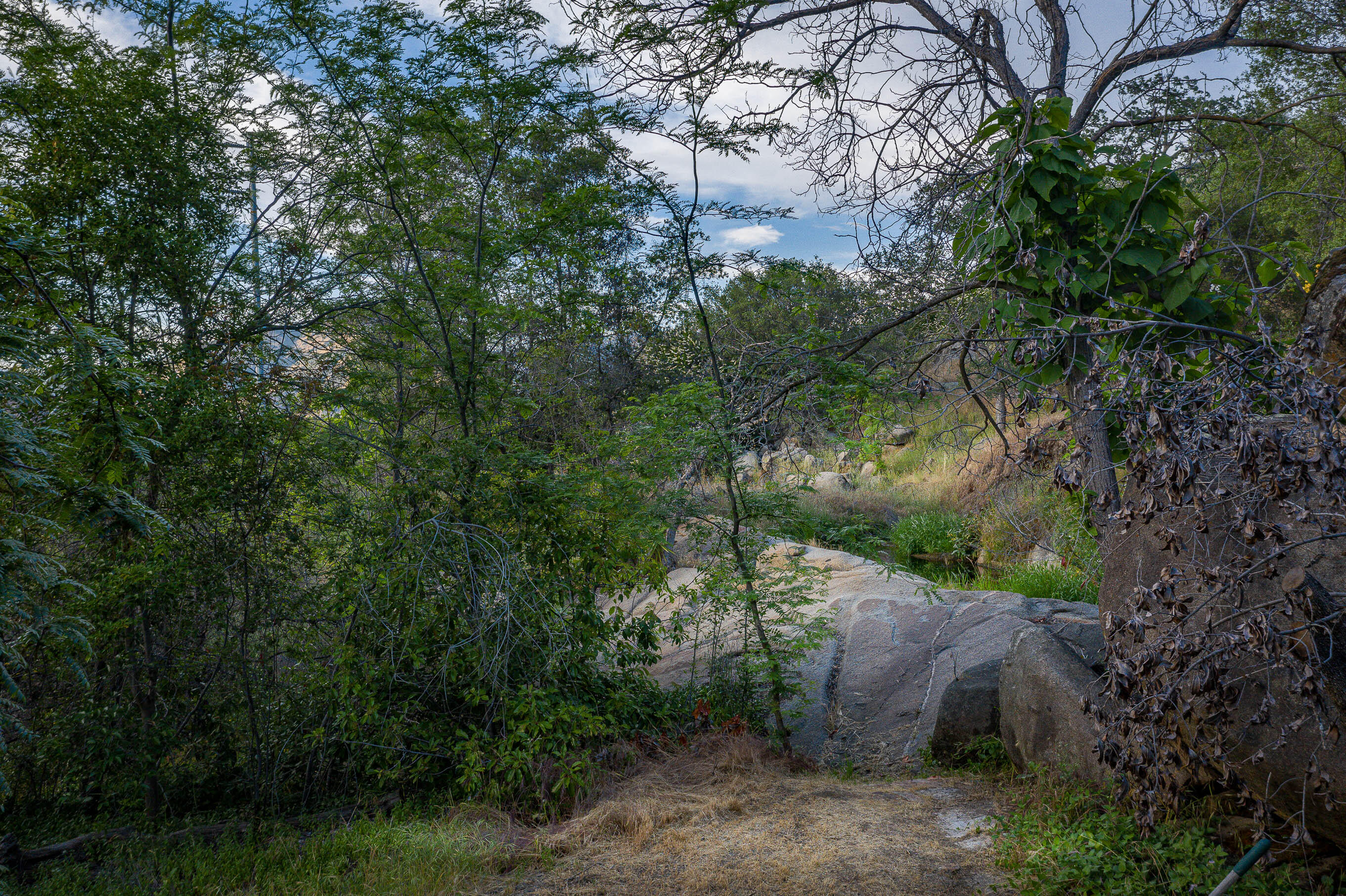 41518 Sierra Drive Three Rivers, CA 93271 - Photo 5 of 10 DJI_0876-HDR-7