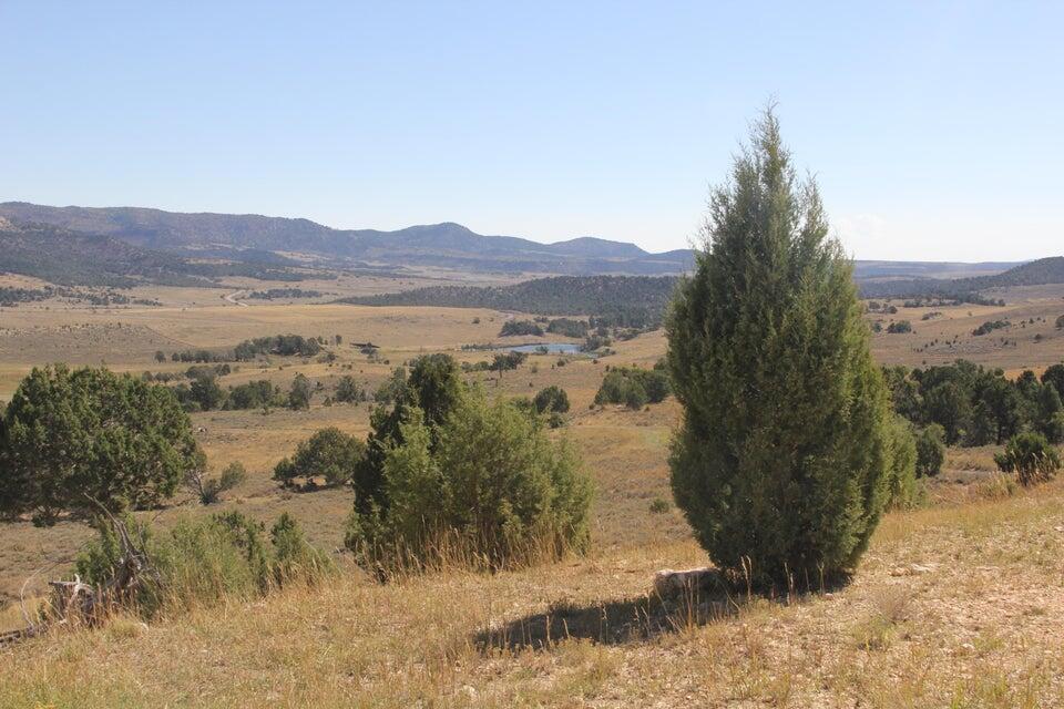10.09 Acres Alton, UT 84710 - Photo 16 of 24 17