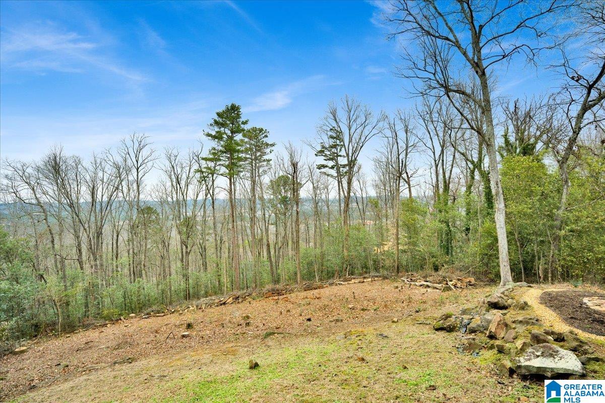 1042 Shades Crest Road Birmingham, AL 35226 - Photo 22 of 80
