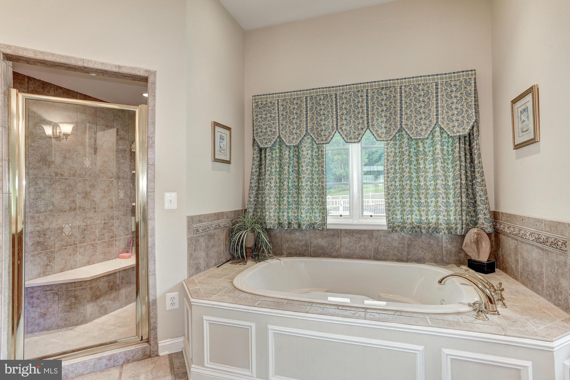 20981 Trappe Road Upperville, VA 20184 - Photo 16 of 30 Bath (Master)
