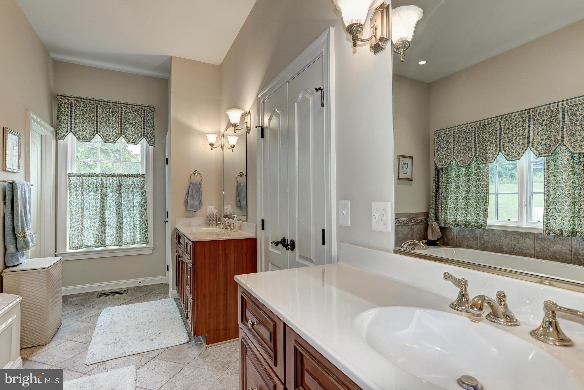 20981 Trappe Road Upperville, VA 20184 - Photo 17 of 30 Bath (Master)