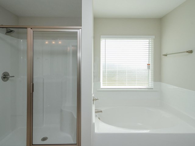 232 Prairie Clover Run Aiken, SC 29803 - Photo 12 of 19