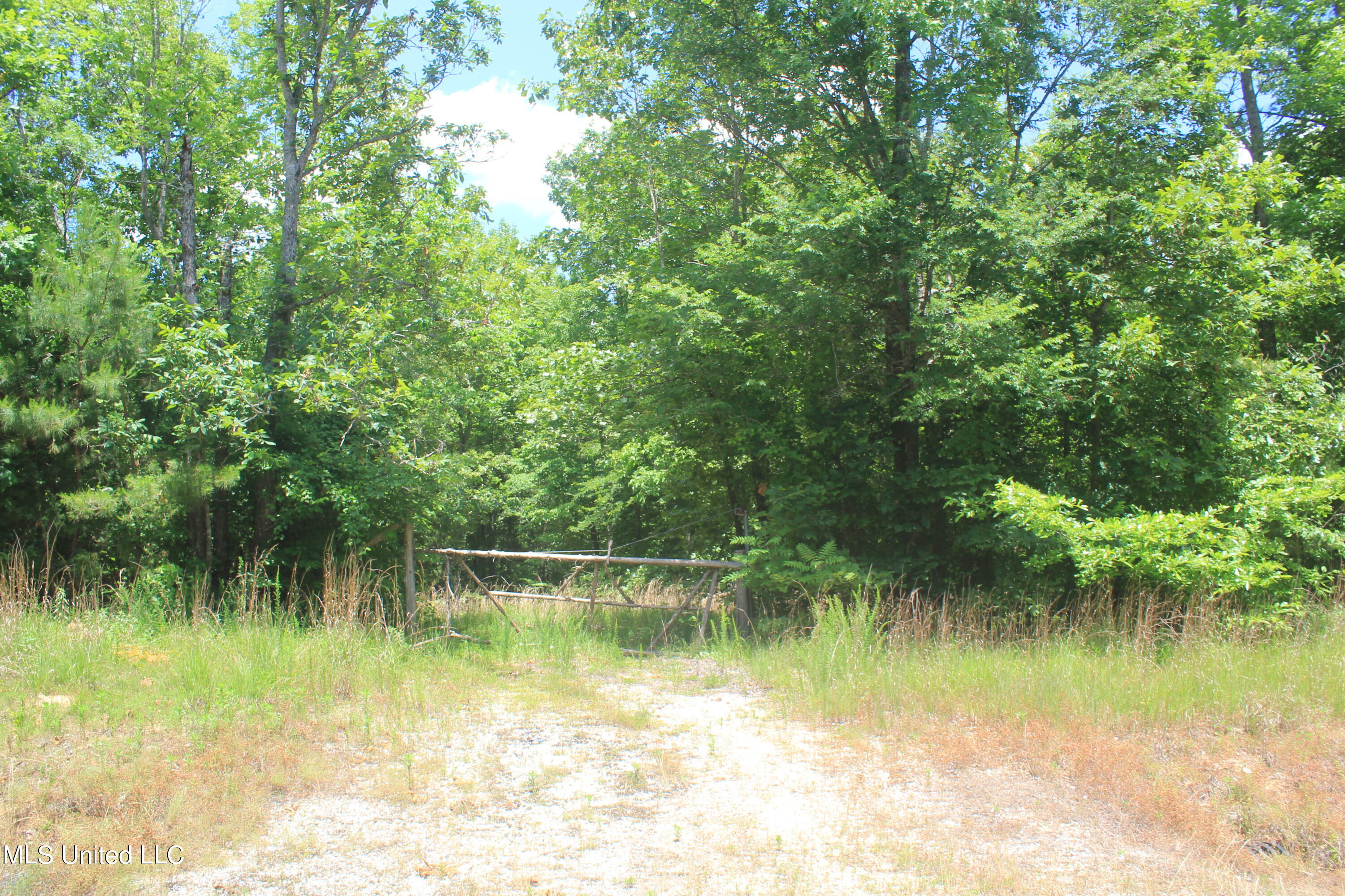 300 Hamilton Chapel Road Waterford, MS 38685 - Photo 1 of 22 Land