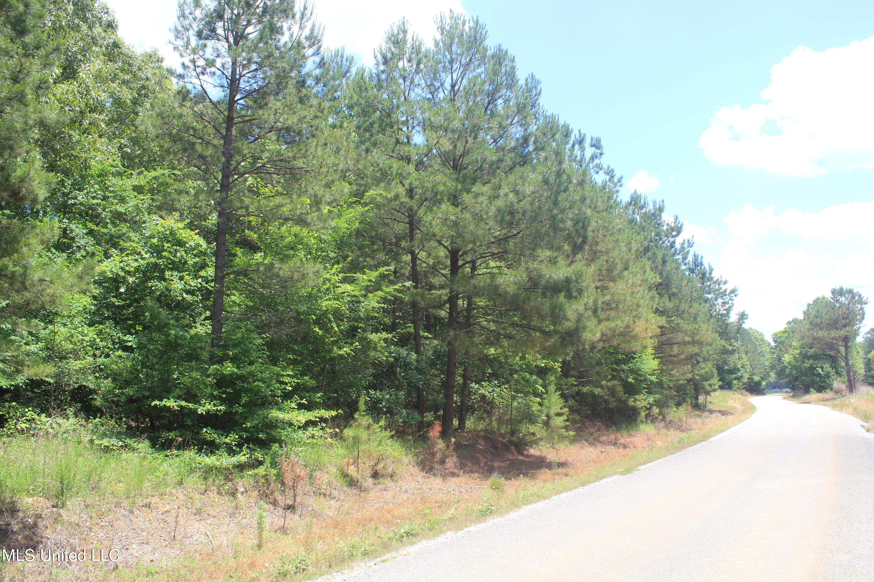 300 Hamilton Chapel Road Waterford, MS 38685 - Photo 2 of 22 IMG_8484