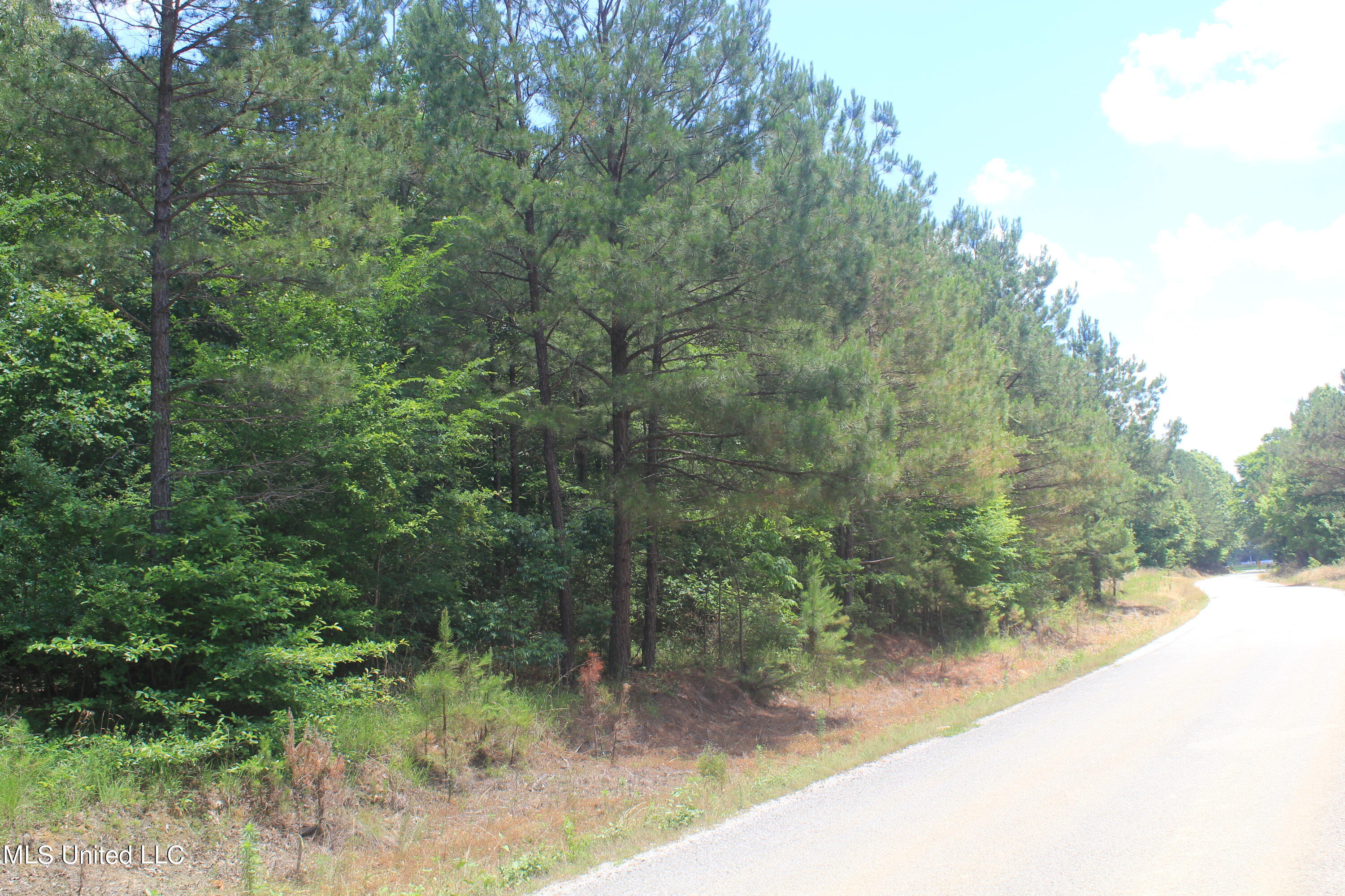 300 Hamilton Chapel Road Waterford, MS 38685 - Photo 4 of 22 IMG_8486
