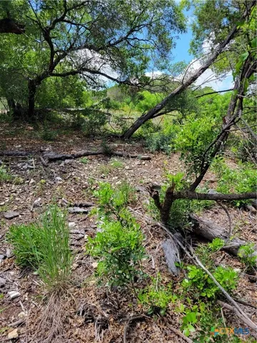 $59,900 | Lot 315 Private Road 1745, Mico, TX 78056